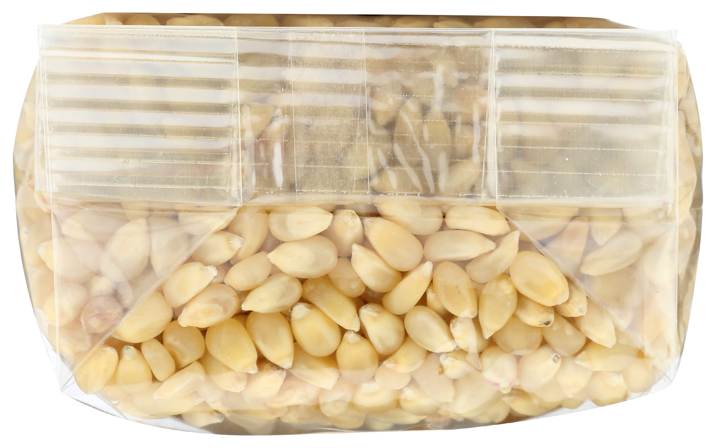 India Tree, Popping Corn Paloma Blanca, 1 LB - Image 3